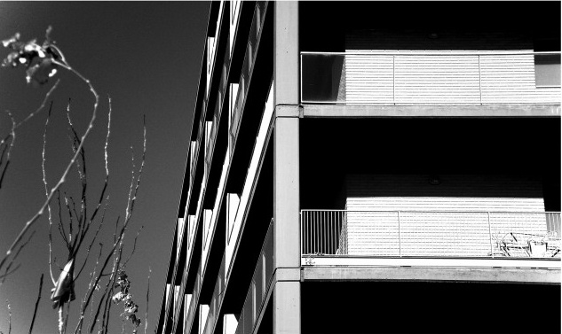 00004-viviendas-arquitectura